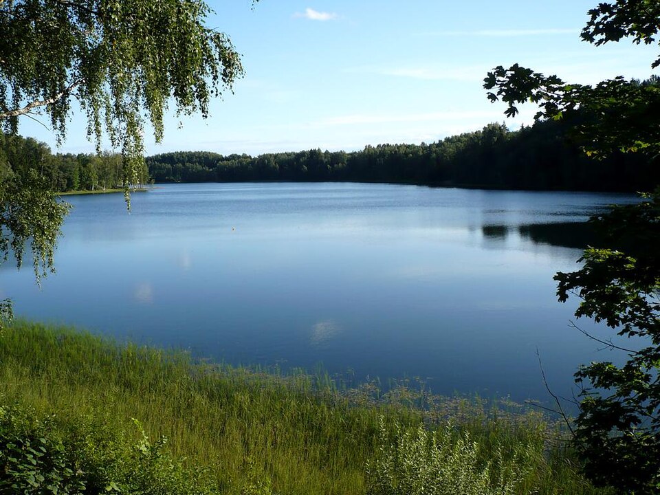 Drīdzis