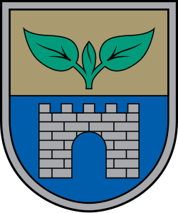 Salaspils novads – ģerbonis