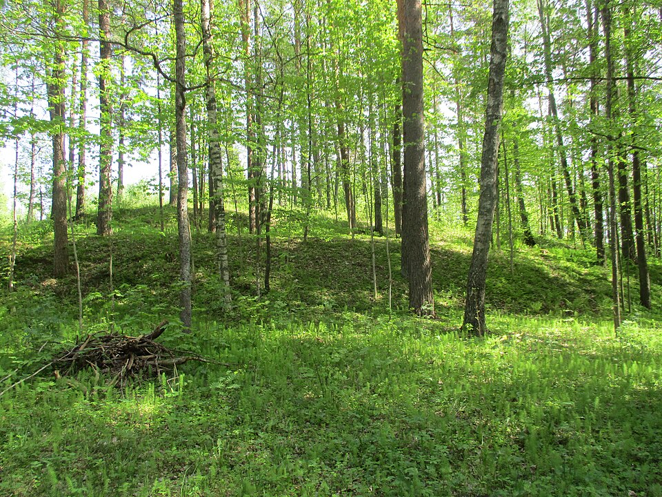 Kaldabruņas pilskalns