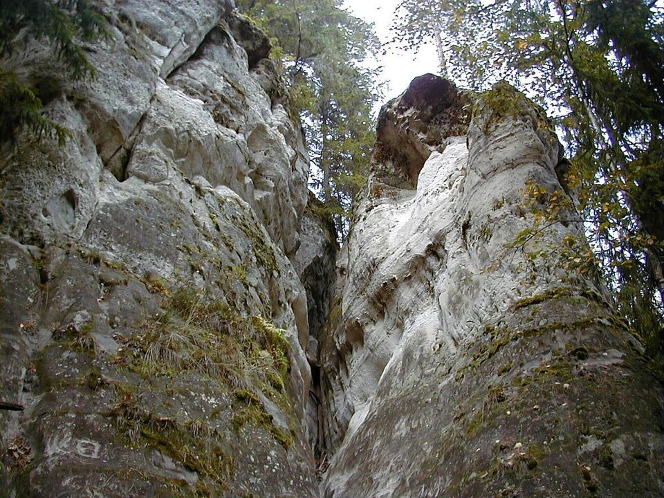 Sietiņiezis
